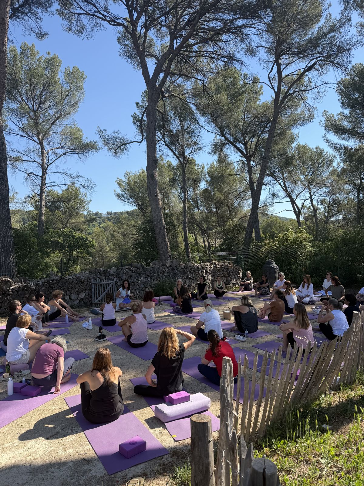 Séance de yoga sous les pins