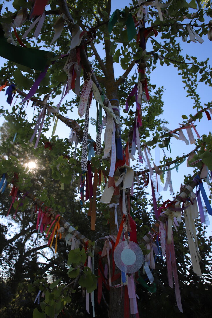 L’arbre aux rubans du Domaine