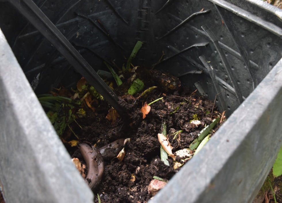 compost-legumes-bac