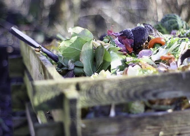 dechets-compost-legumes