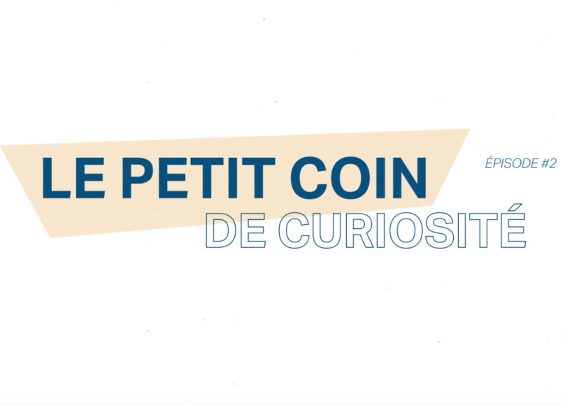 petit-coin-curiosite